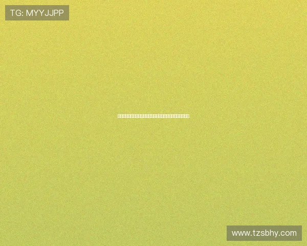 法甲裁判标准解析与实践对比：提升比赛公正性与技术应用探讨